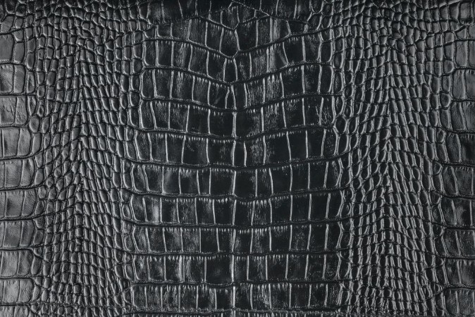 Picture of Natural crocodile skin