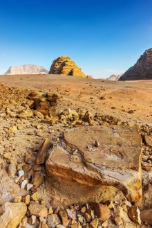 Immagine di Wadi Rum desert reg