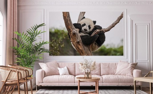 Picture of Goofy Panda