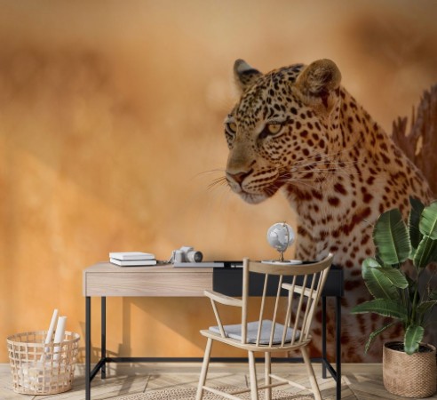 Image de Leopard at Sunset