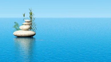 Afbeeldingen van Zen