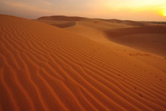 Pilt Deserts Landscape