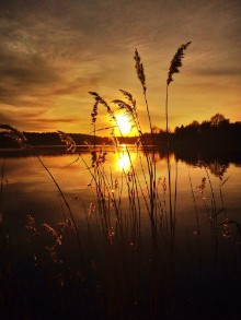 Kép Sunset over the lake