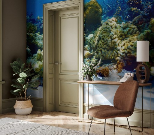 Picture of Coral reef at Maldives