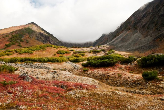Imagem de Autumn landscape in Kamchatka