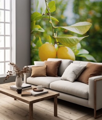 Image de Lemons in orchard