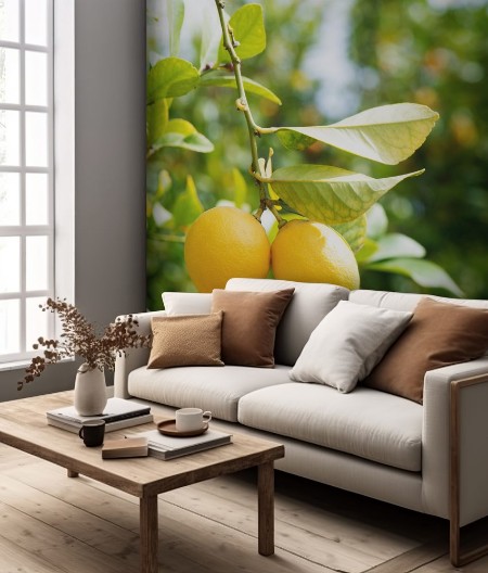 Picture of Lemons in orchard