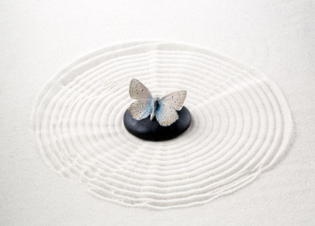 Image de Zen stone with butterfly