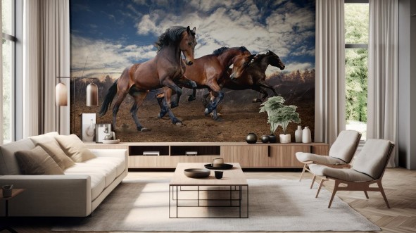 Image de Wild jump bay horses