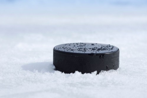 Picture of Puck closeup