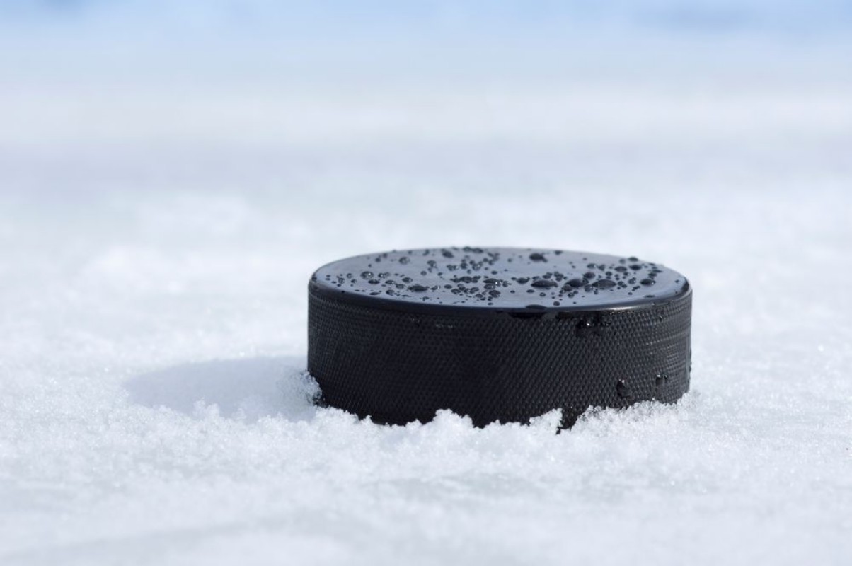 Image de Puck closeup