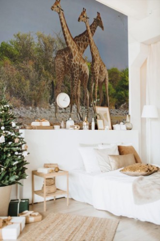 Afbeeldingen van Three giraffes walking in Etosha National Park