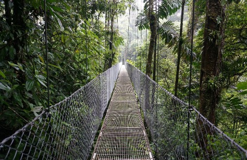 Picture of Suspended Bridge at La Fortuna