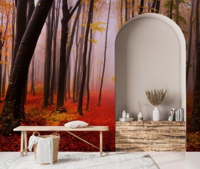 Afbeeldingen van Mysterious foggy forest with a fairytale look