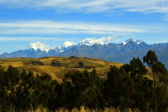 Afbeeldingen van Vegetacin  cultivos y cordillera andina Per