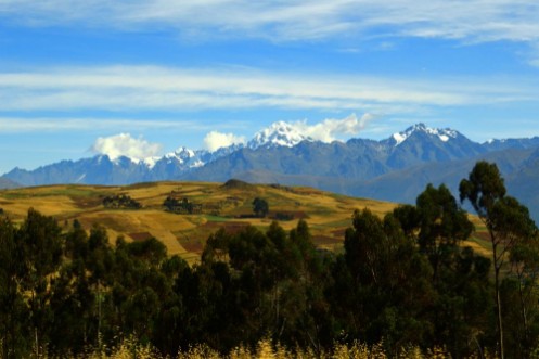 Afbeeldingen van Vegetacin  cultivos y cordillera andina Per