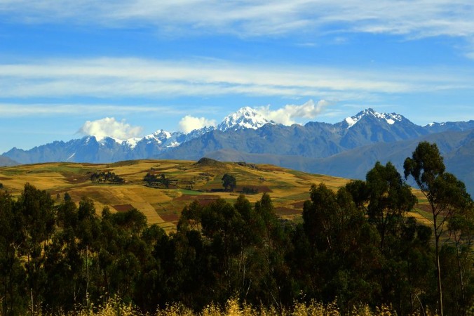 Picture of Vegetacin  cultivos y cordillera andina Per