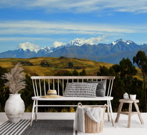 Picture of Vegetacin  cultivos y cordillera andina Per