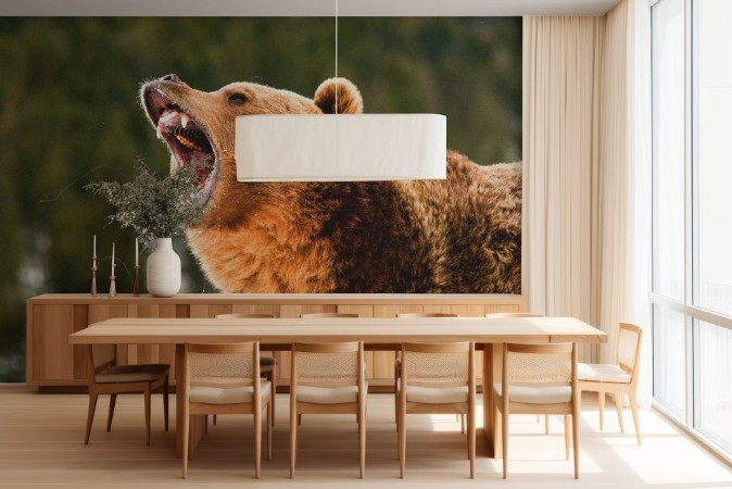 Picture of Grizzly Bear