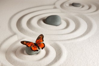 Ritratt ta’ Zen rocks with butterfly