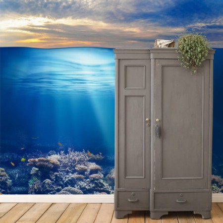 Picture of Sea or ocean underwater life with sunset sky