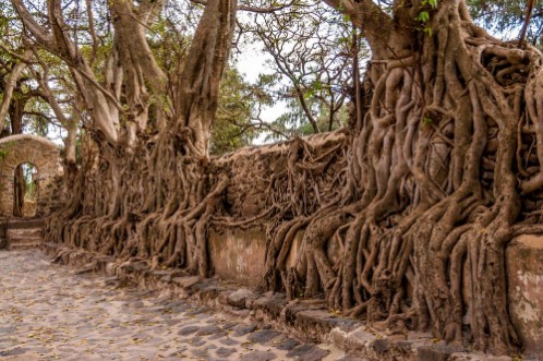 Picture of Fasilides bath