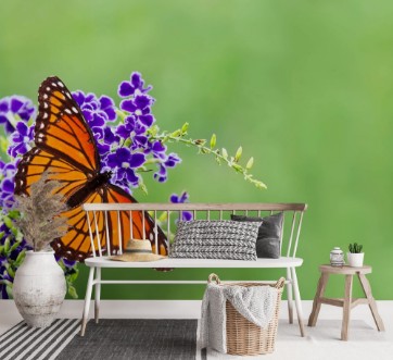 Afbeeldingen van Viceroy butterfly Limenitis archippus on blue flowers