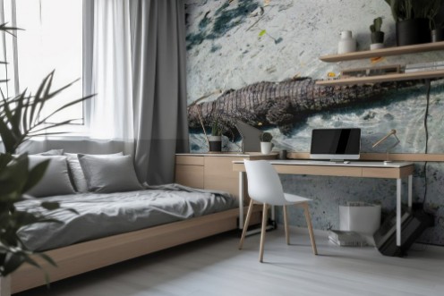 Picture of American alligator alligator mississippiensis