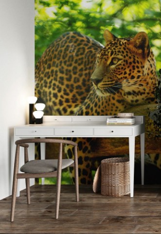 Picture of Leopard 1