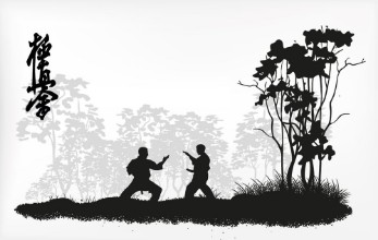 Image de Professions du karaté