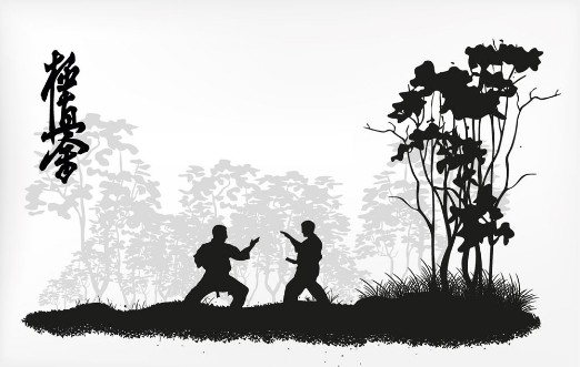 Picture of Karate erhverv