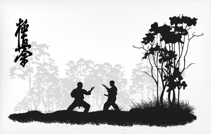 Picture of Karate yrker