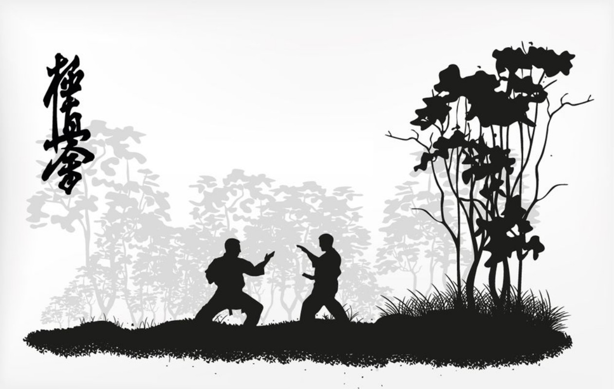 Picture of Karate erhverv