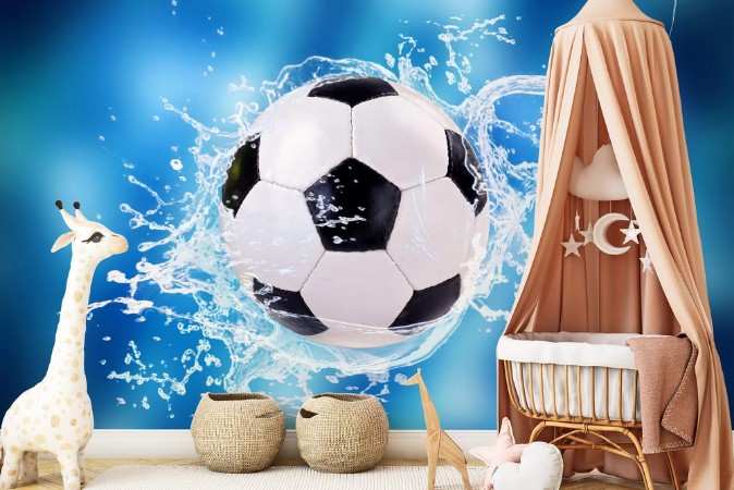 Picture of Football in Water