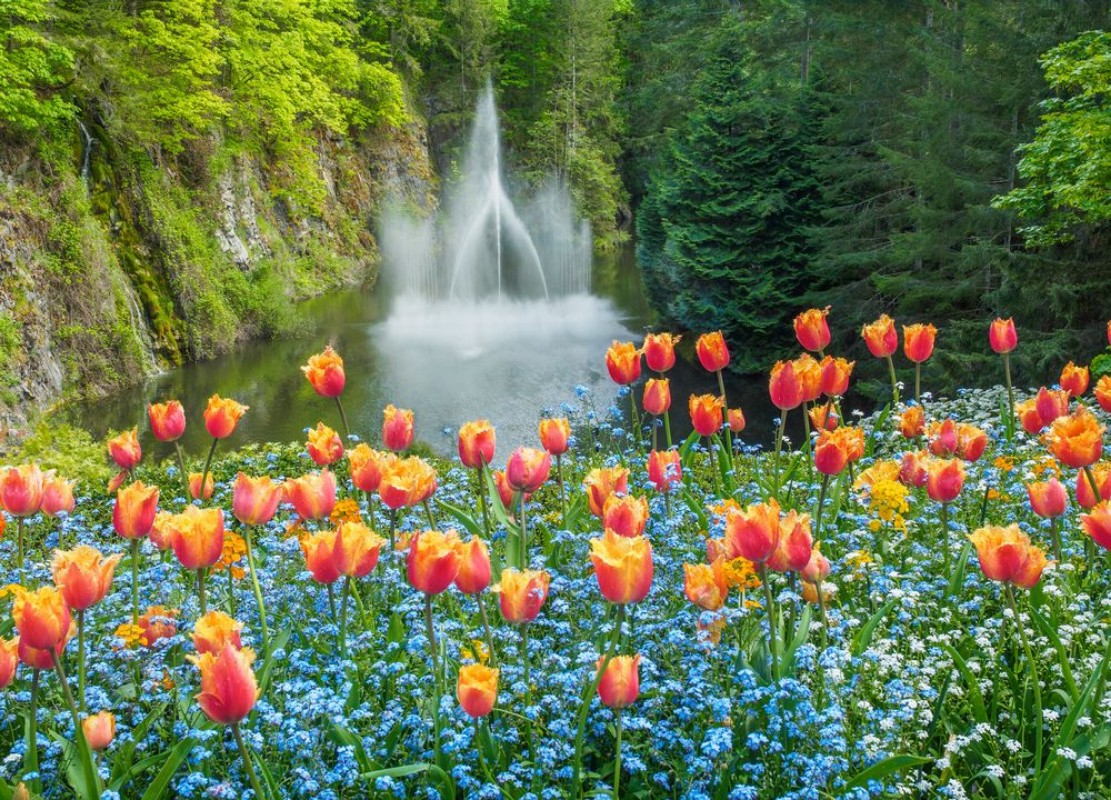 Afbeeldingen van Ross Fountain in Butchart Gardens