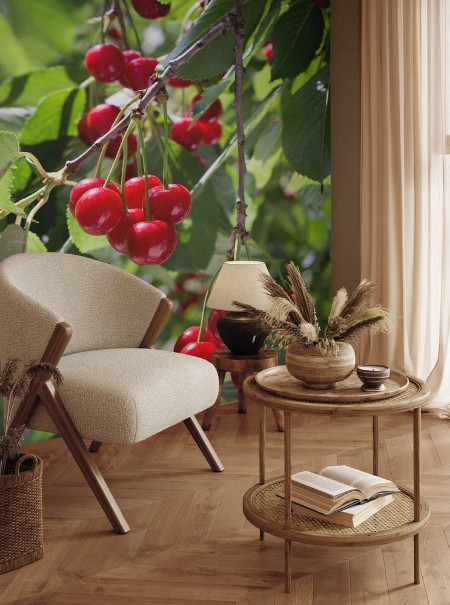 Picture of Cherries on the branch