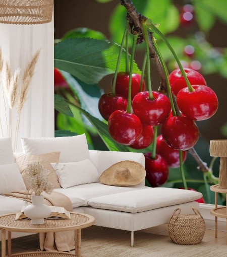 Picture of Cherries on the branch