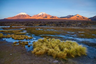 Bild von Altiplano