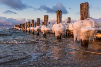 Immagine di Buhne an der Ostseekste