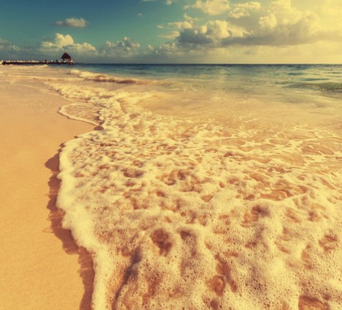 Picture of Tropical beach