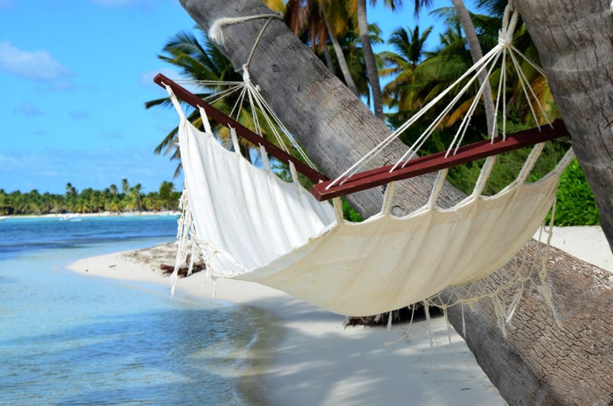 Afbeeldingen van 66222042