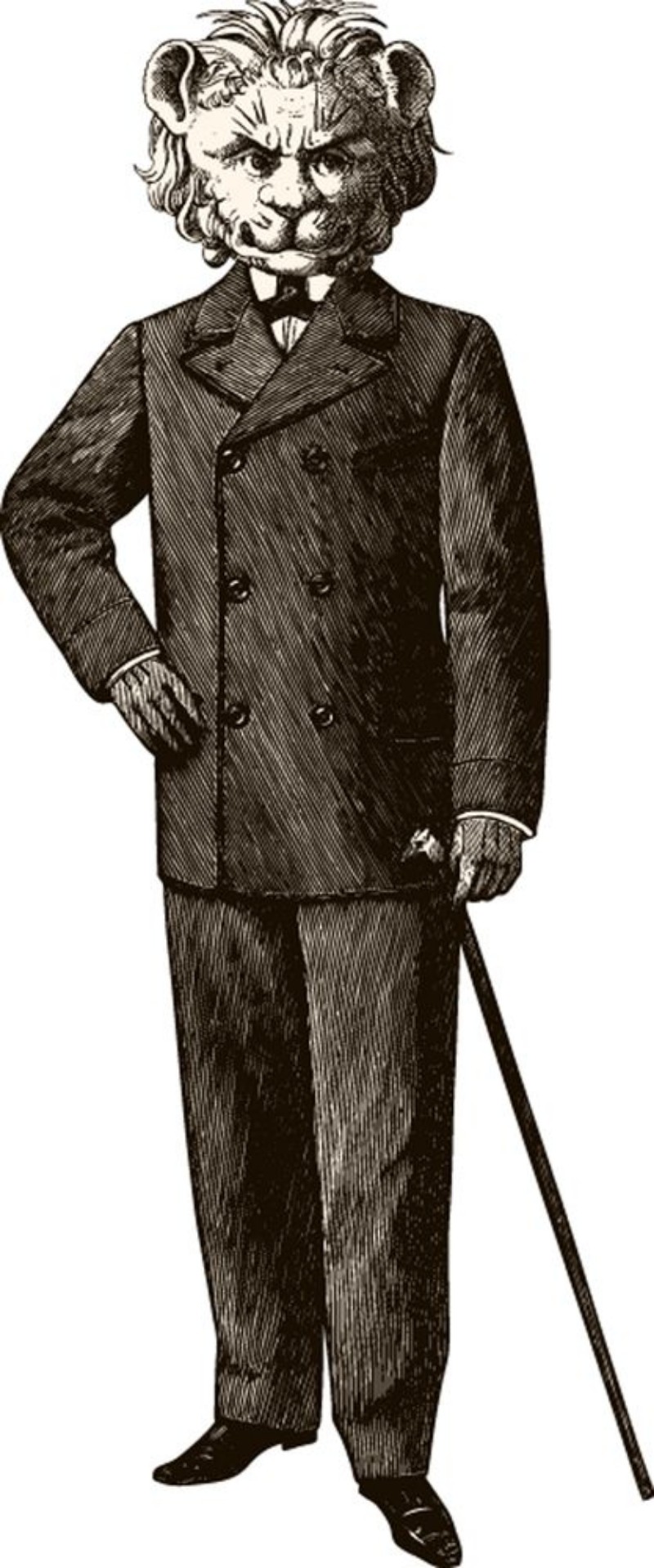 Image de The lion man