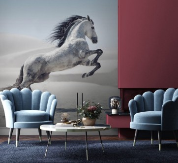 Afbeeldingen van Picture presenting the galloping white horse