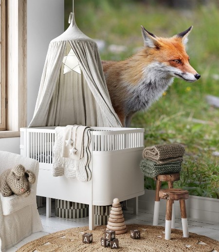 Afbeeldingen van Fox