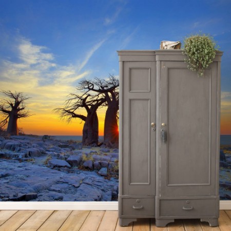 Bild på Baobabs on Kubu at Sunrise