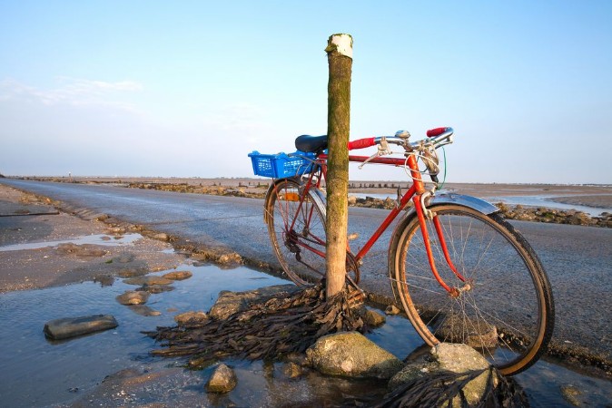 Bild på France  Vende  Noirmoutier  Passage du Gois