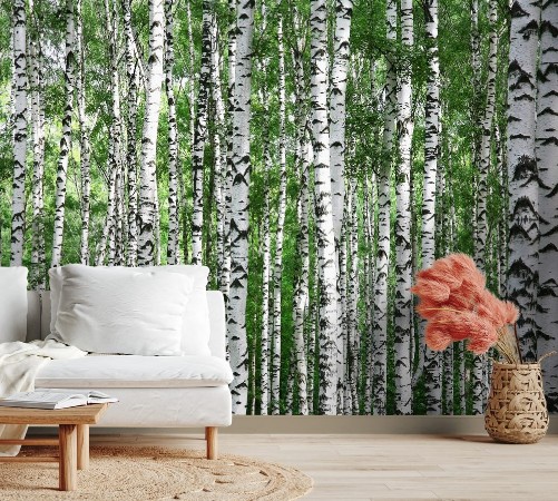 Εικόνα της Trunks of summer birch trees