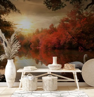 Image de Swan in the autmn