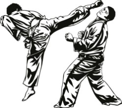 Image de Tae Kwon Do