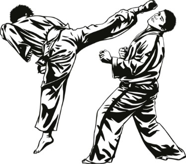 Image de Tae Kwon Do